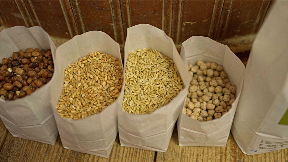 Farina di mischiglio con legumi, spighe e pasta fatta a mano